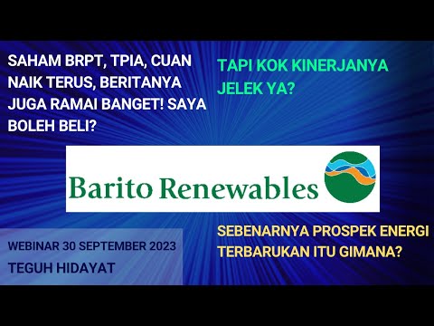 Prospek Saham Grup Barito (BREN, BRPT, TPIA, CUAN) Terkait Energi Terbarukan