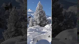 A Winter Wonderland Animated