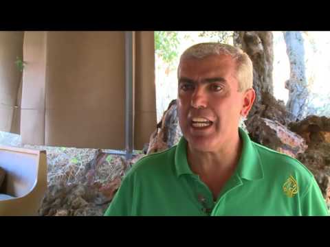 هذا الصباح الزرب أكلة فلسطينية شعبية