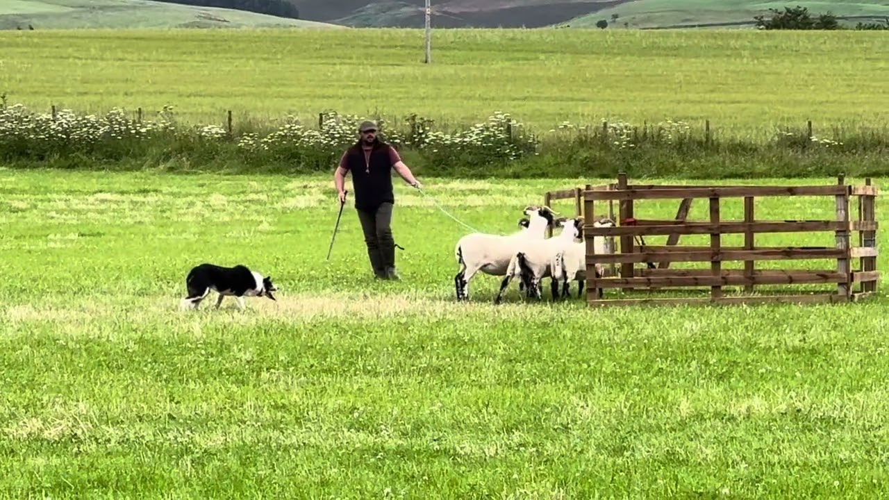 Jordan McGowan & Tony @ Gifford SDT 2024 1st Place