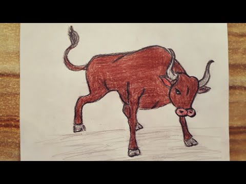 Video: Boğa Nasıl çizilir