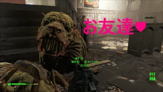 fallout4  ミュータントファウンド　仲間にしてみた