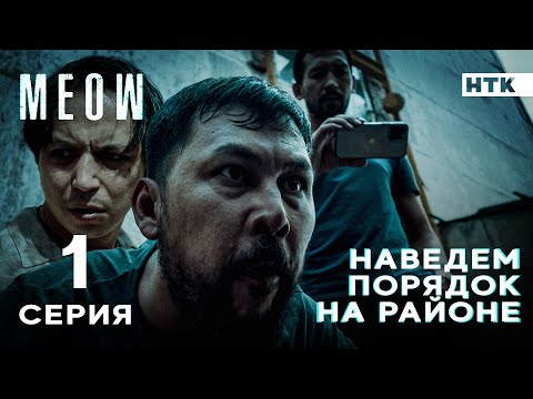 Видео: Родной, природа уже не кумарит! | MEOW - 1 серия