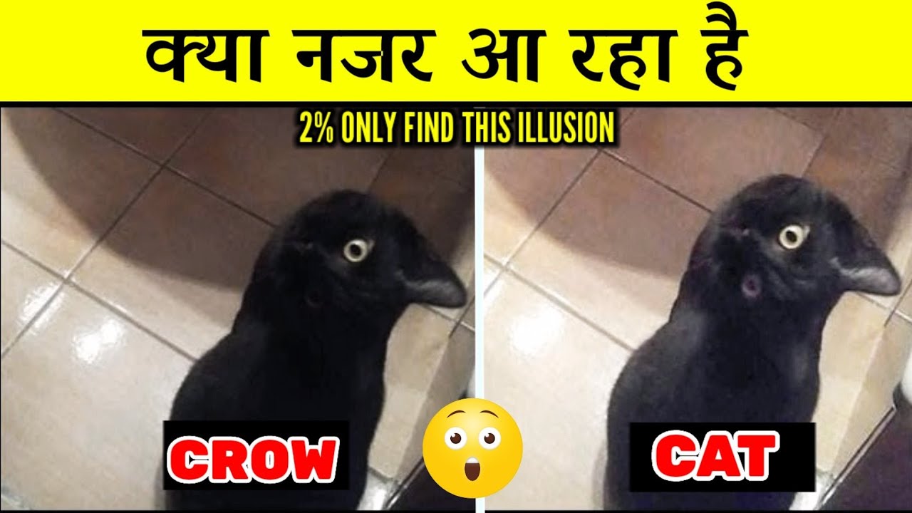 Optical Illusions That Will Trick Your Eyes Historical Hindi Illusion