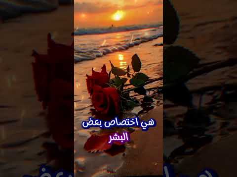 نحن لا نعرف النوايا لكن نشعر بها أحيانا حالات واتس اب اقتباسات أقوال وحكم الحياة دروس