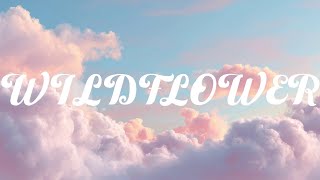 Download Lagu Billie Eilish - WILDFLOWER (Lyrics) MP3