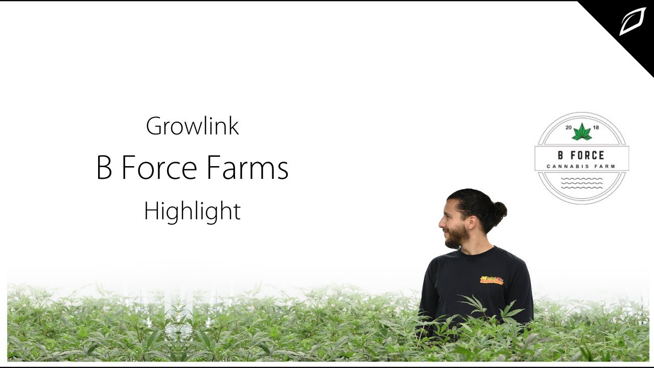 Growlink: Behind The Grow at B Force Farms