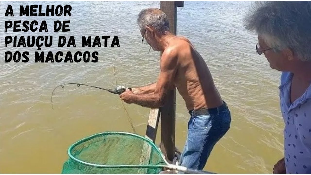 MATA DOS MACACOS Cardume Gigante de Piauçu estava em Baixo do nosso Batelão, Guaraci SP.