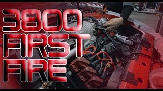 IT'S ALIVE - Zoom's 3800 First Start Up