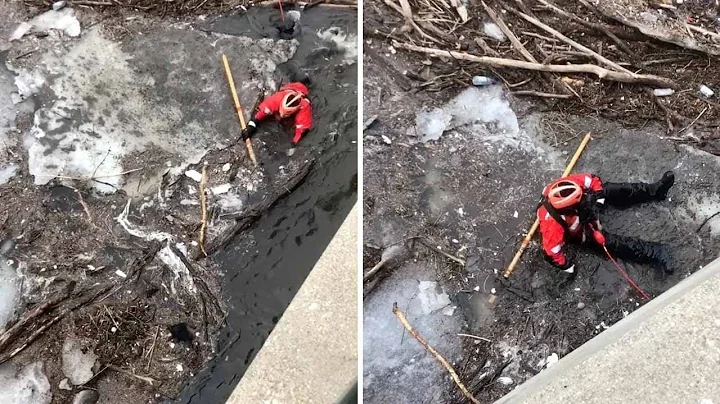 Puppy Rescued From Frozen River