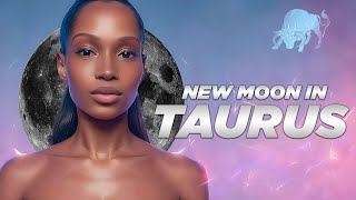 Planting Seeds of Generational Wealth 💰 | New Moon in Taurs 2024