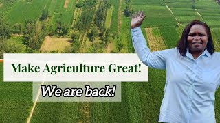 WE ARE BACK!