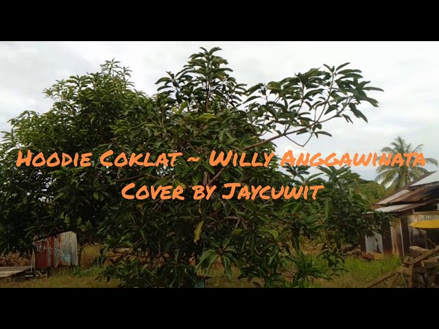 Hoodie Coklat - Willy Anggawinata (cover singkat) class=