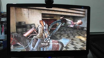 The Last Of Us - Funny Visual Glitch (Only Pictures, NO VIDEO)
