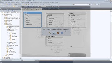 BD_Zoológico - VIDEO RÁPIDO (POR COMANDO) - 10 REGISTROS