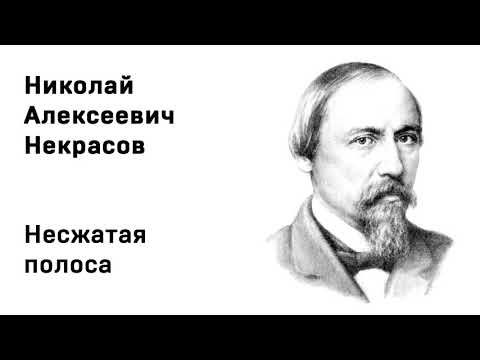 Николай Алексеевич Некрасов Несжатая полоса Учить стихи легко Аудио Стих Слушать Онлайн