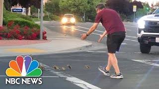 Man killed by car after saving ducks crossing street