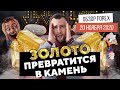 Прогноз рынка форекс на  20.11 от Тимура Асланова