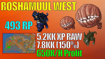 Roshamuul West | 493 RP | 5.2KK RAW XP | 650K/H+ Profit | Tibia Hunts