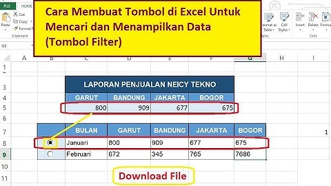 Cara Membuat Tombol di Excel Untuk Mencari dan Menampilkan Data (Tombol Filter)