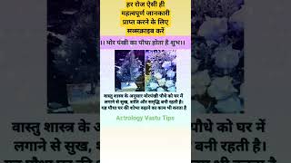 घर में सुख शांति का उपाय#astrology #vastushastra #vastutips #trending #mahalakshmi #dhanlabh #shorts