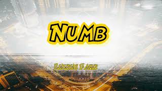Numb - Linkin park/DJ jhanskie reggae (karaoke version)