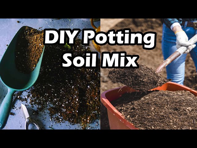 DIY Potting Soil: Make Your Own Soil Mix for Healthy Plants - YouTube