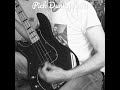 Ne pas confondre pratique & performance  pick  0.73   #plectrum #squierbass ⬇️#rotosound#jazzbass