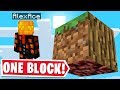 ALL OF MINECRAFT BUT IN ONE BLOCK..