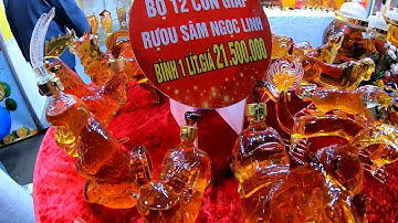 #Shorts Bộ 12 con giáp rượu sâm Ngọc Linh - #shorts Set of 12 children with Ngoc Linh champagne.