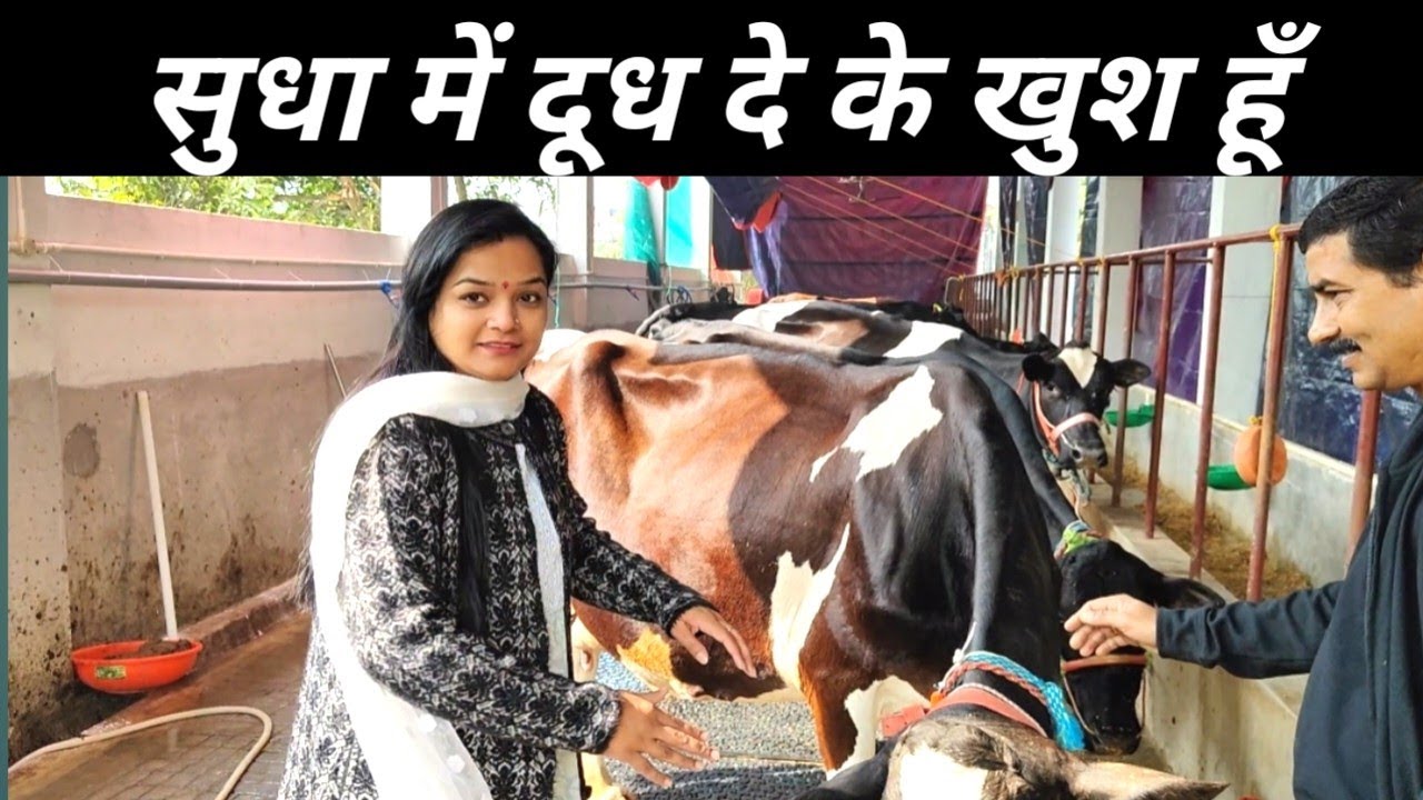 20 साल शहर में रहने के बाद गाँव में आ कर बस गई  | Dairy Farming In India