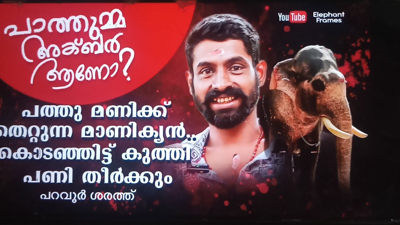 പാത്തുമ്മ അക്ബറിന്റെ അനിയൻ ആണോ /elephant frames /പറവൂർ ശരത്ത്