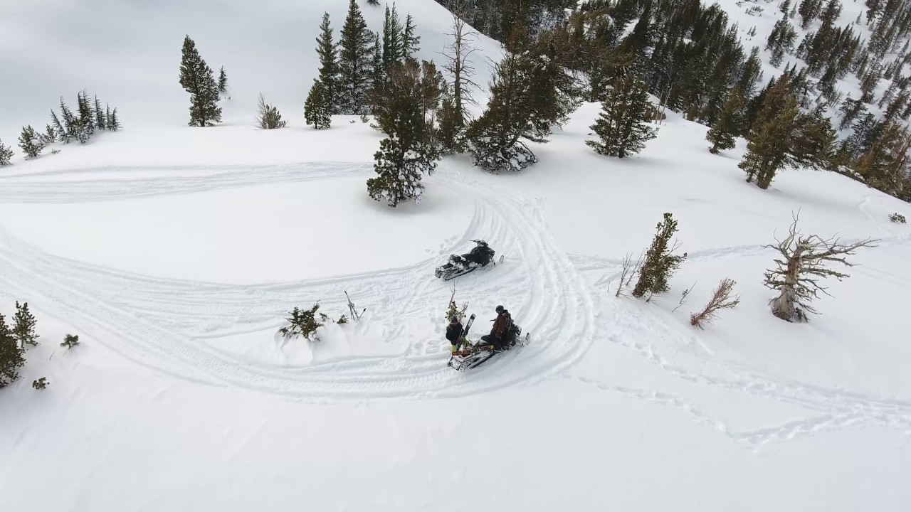 "Tahoe is back!" by, Cuyler Ruskin