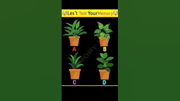 Memory 🤯Test #part 66| Riddles And Puzzles For Iq Test | #shorts 2023