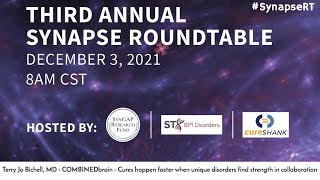3rd Annual Synapse Roundtable, Terry Jo Bichell, MD, COMBINEDbrain - Cures happen faster when...