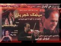 Siamak Shajarian Concert
