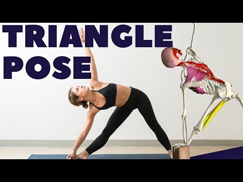Video: Aká je činnosť trojuholníkového svalu?