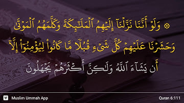 سوره انعام آیه 111