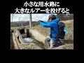 小さな用水路に大きなルアーを投げると