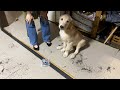 帰宅したらとんでもないことになってました・・・