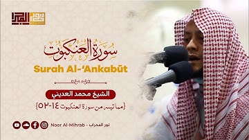 مما تيسر من سورة العنكبوت (١٤-٥٢) || الشيخ محمد العديني || تراويح رمضان 1442هـ - 2021م