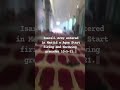 Today 100521 again terrior attack in side of masjid al aqsa 