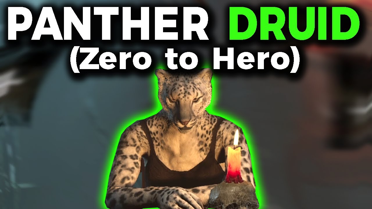 ZERO TO HERO PANTHER DRUID (no items) - Dark and Darker Gameplay