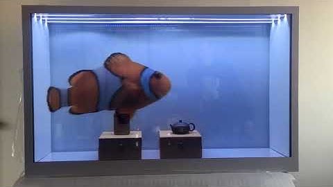 Transparent LCD Showcase box