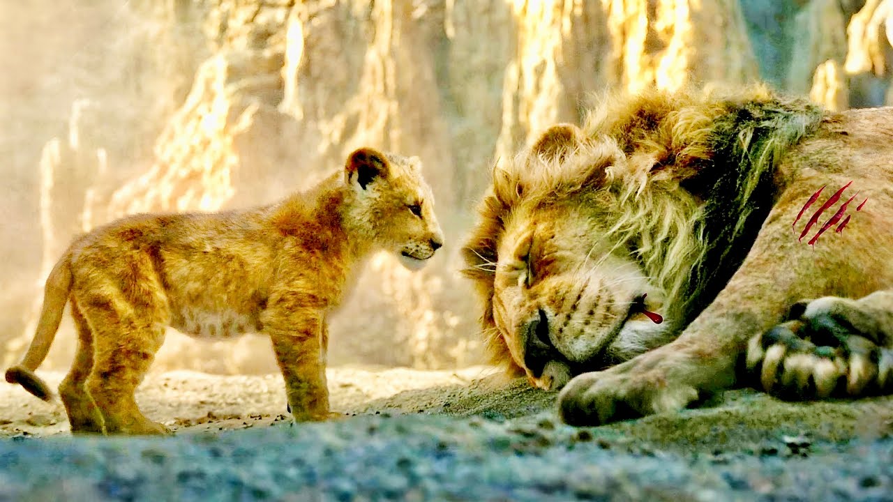 A Tiny Lion Cub Steps Into a HUGE Destiny… and This Bird Knows It!