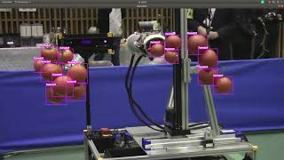 real-time tomato detect from tomato robot competition