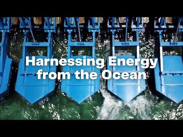 @EcoWavePower  | Harnessing Energy from the Ocean