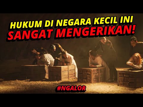 Video: 7 Item Bagus Untuk Wanita Anjing Gila Berkelas