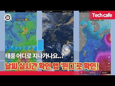 &amp;#39;윈디(<strong>Windy</strong>)&amp;#39; 앱으로 확인해보자 [나를위한디지털]
