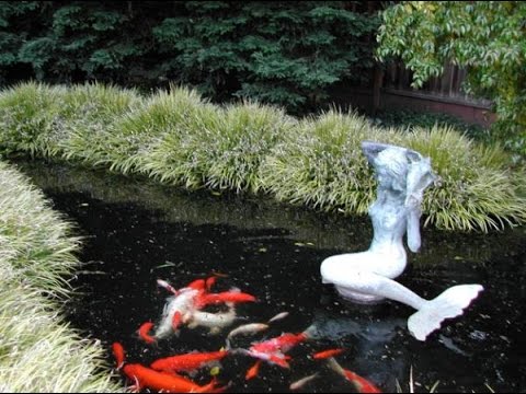 Koi Pond Design Ideas For A Rich And Tranquil Home Landscape - YouTube Koi Pond Design Ideas For A Rich And Tranquil Home Landscape - YouTube